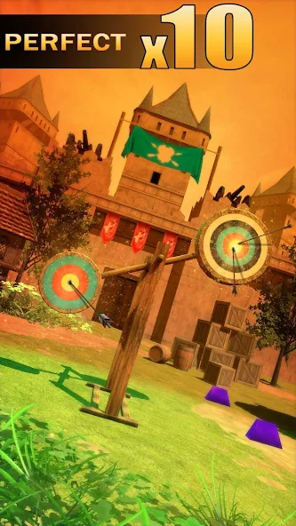 Archery Shooting - Image 2
