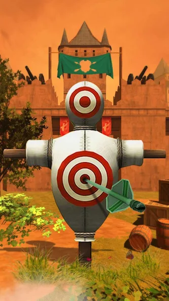 Archery Shooting - Image 6