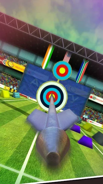 Archery Shooting - Image 5